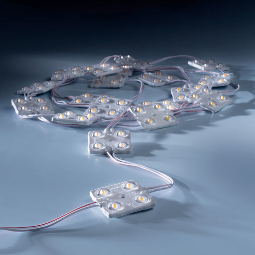 leds.de Wasserdichte LED-Module, 4 LEDs, 12V, IP67, 20 Stück, 2700 - 3000K 40043